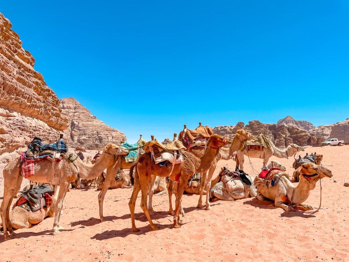 Rum Jordan Camp And Tours Hotell Wadi Rum Eksteriør bilde